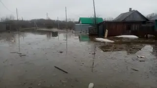 Вода ушла из шести подтопленных домов в Томской области в Молчановском районе