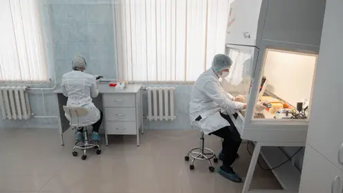 В Алтайском крае в аграрном университете заработала лаборатория ПЦР-диагностики животных