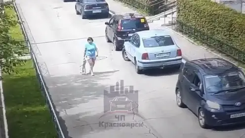В Красноярске женщина за лапу протащила кота по двору и била его