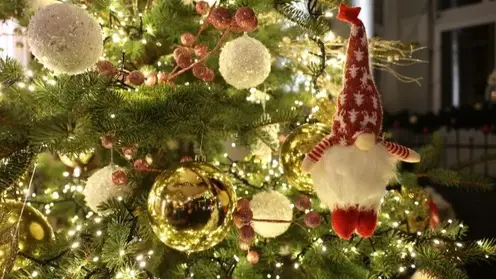 Красноярцам дали советы по выбору живой новогодней елки