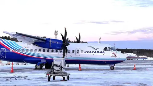 Красноярец пожаловался на бездействие авиакомпании при задержке рейса на девять часов