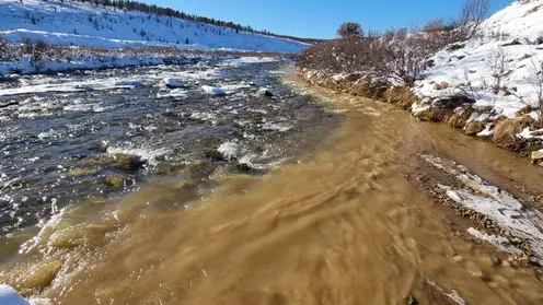 Золотодобывающая компания «Сисим» загрязняла реки в Красноярском крае