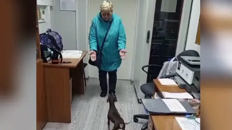 В Канске дежурная по вокзалу помогла хозяйке воссоединиться с любимой собакой