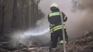 В Хабаровском крае лесная охрана за сутки зарегистрировала 13 лесных пожаров