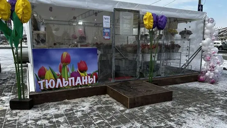Обновленный «Цветочный квартал» заполнили тюльпаны