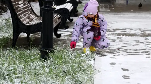 Первый снег и заморозки до -2 градусов пообещали синоптики красноярцам на этих выходных
