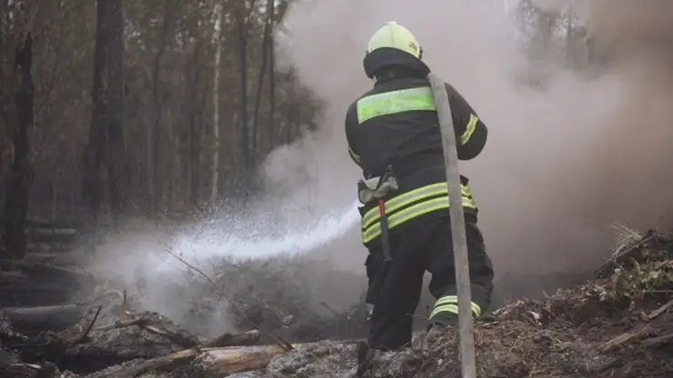 Особый противопожарный режим ввели в четырех районах Красноярского края