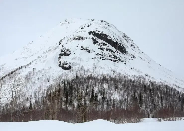 За неделю в Красноярском крае сошли 19 снежных масс