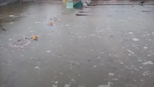 11 домов попали в зону подтопления в Иволгинском районе Бурятии