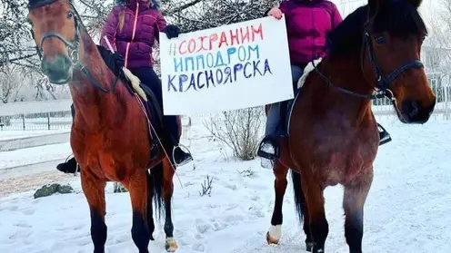 Активисты организовали сбор подписей в защиту красноярского ипподрома