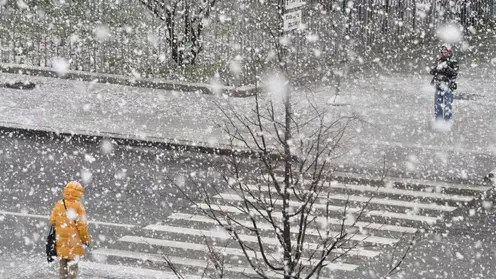 Похолодание до -24 градусов и снег ожидаются в Красноярске 7 декабря