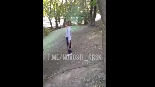 В Красноярске ученик 3-го класса пришёл в школу с топором и напугал других детей